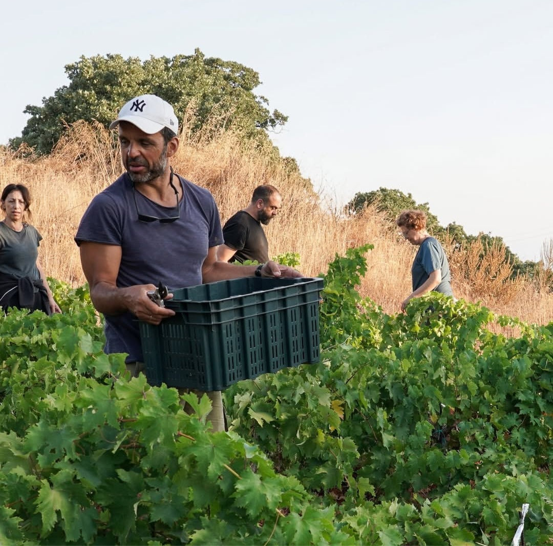 Breathwork & Health Retreat on Volcanic Nisyros, Greece